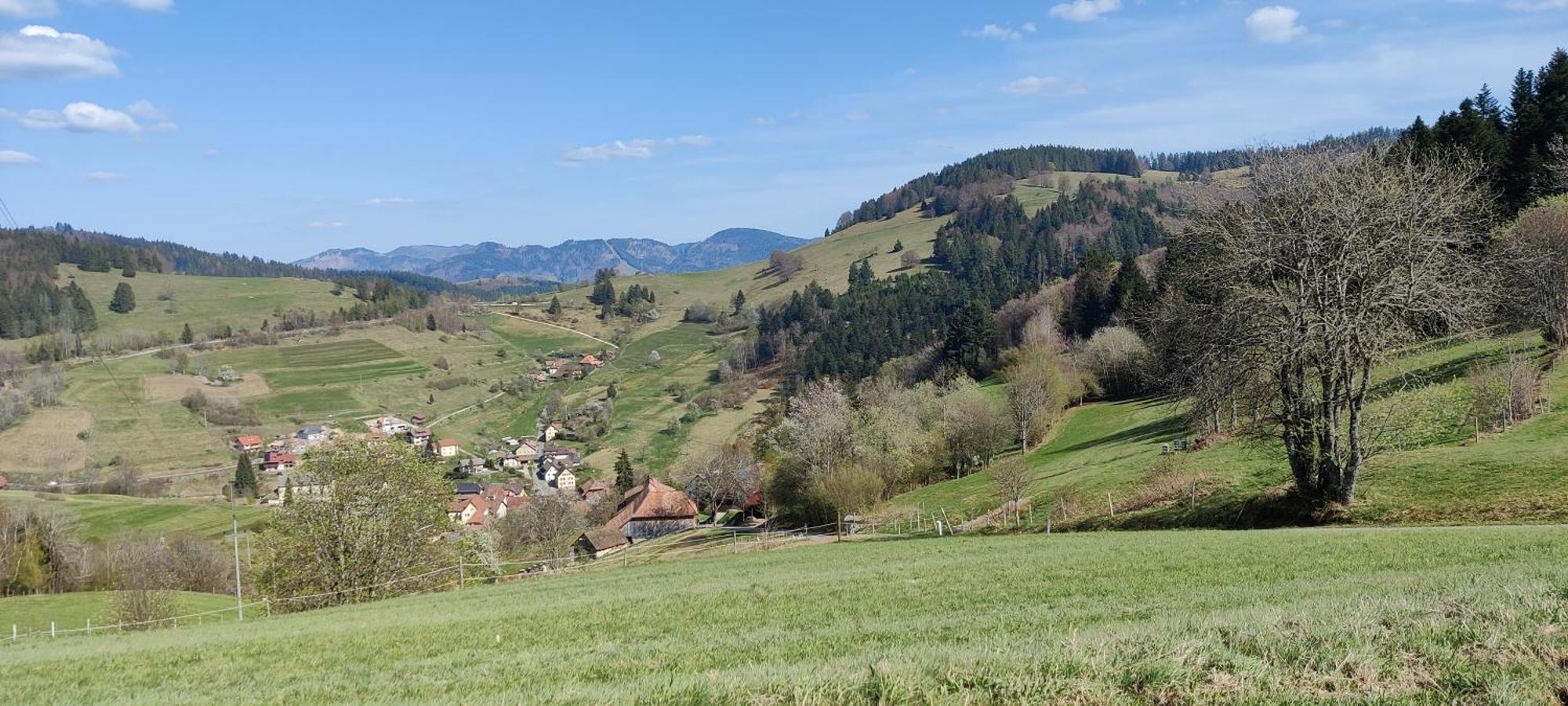 Ferienwohnung Nani Kleines Wiesental Kültér fotó